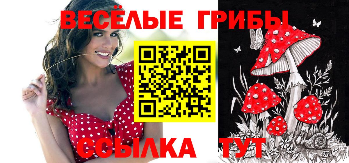 Тихорецк  Псилоцибиновые грибы Psilocybe  купить  сайты  Вход с VPN 